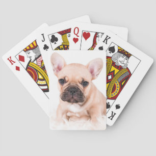 French Bulldog Poker Cards
