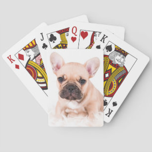 French Bulldog Poker Cards