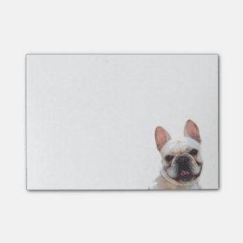 French Bulldog Post It Notes by ritmoboxer at Zazzle