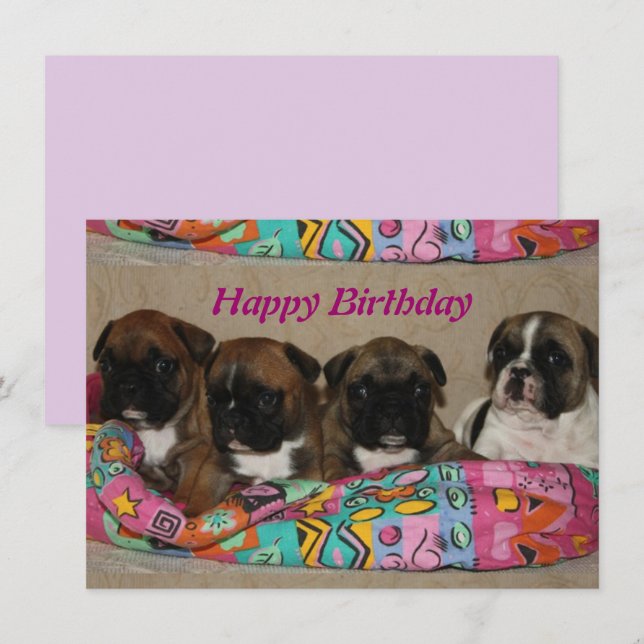 French Bulldog postcard (Front/Back)