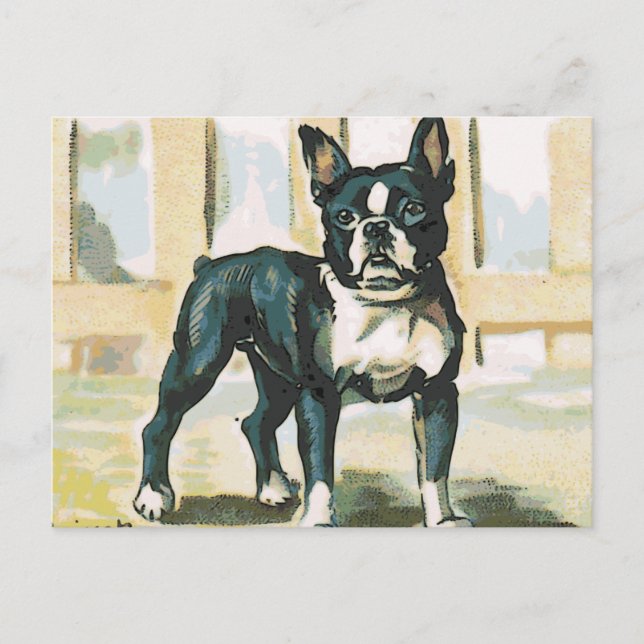 French Bulldog Postcard (Front)