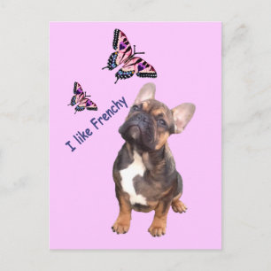 French Bulldog Postcard