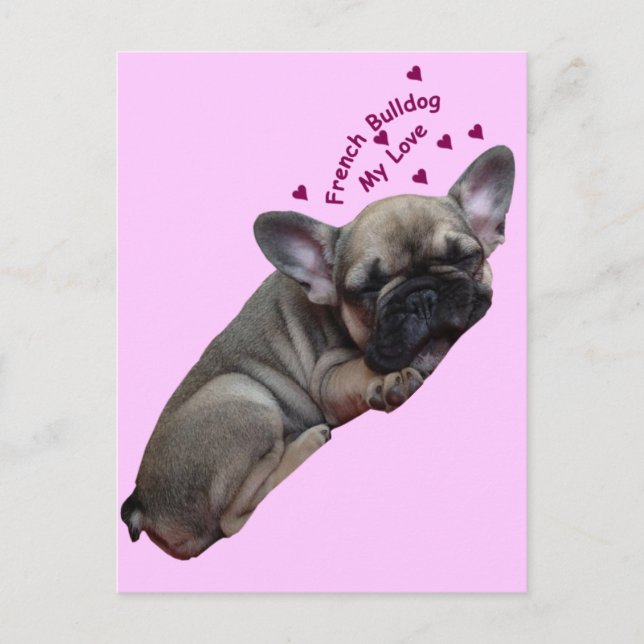 French Bulldog Postcard (Front)
