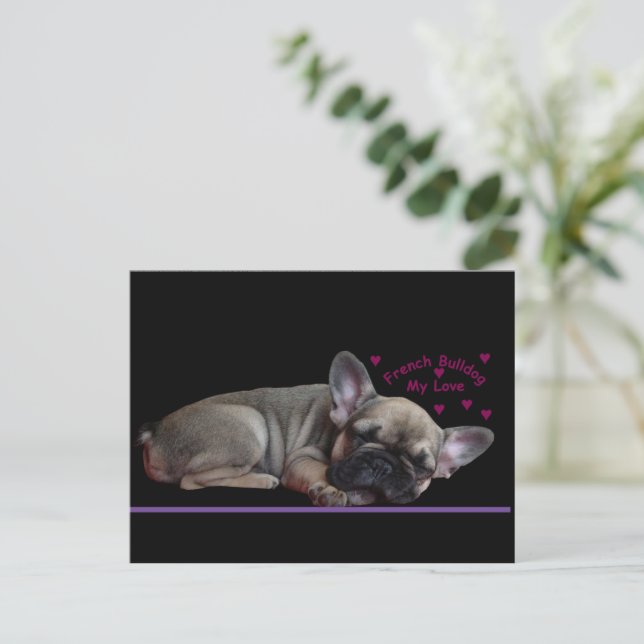 French Bulldog  Postcard (Standing Front)