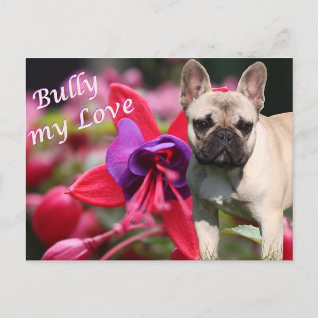 French Bulldog Postcard (Front)