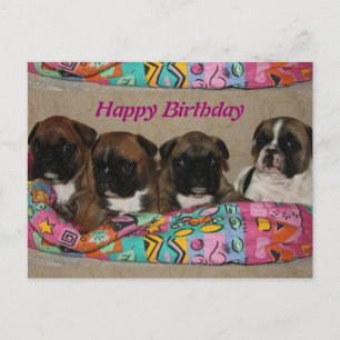 French Bulldog Postcard