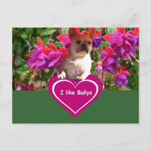 French Bulldog Postcards