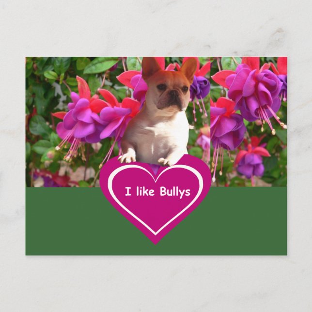 French Bulldog Postcards (Front)