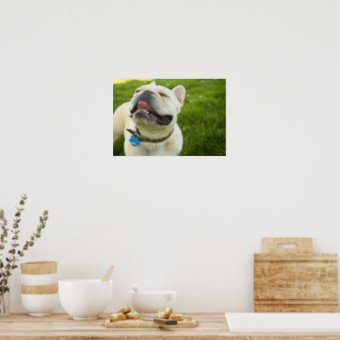 French Bulldog Poster | Zazzle