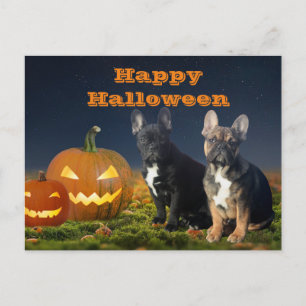 French Bulldog Pumpkin French Bulldog Postcard