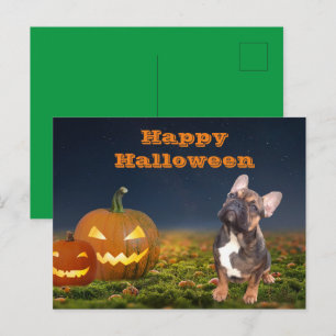 French Bulldog Pumpkin French Bulldog Postcard