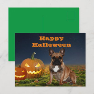 French Bulldog Pumpkin French Bulldog Postcard