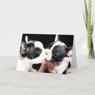 French bulldog puppies card