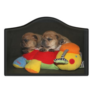 French Bulldog Puppies Door Sign