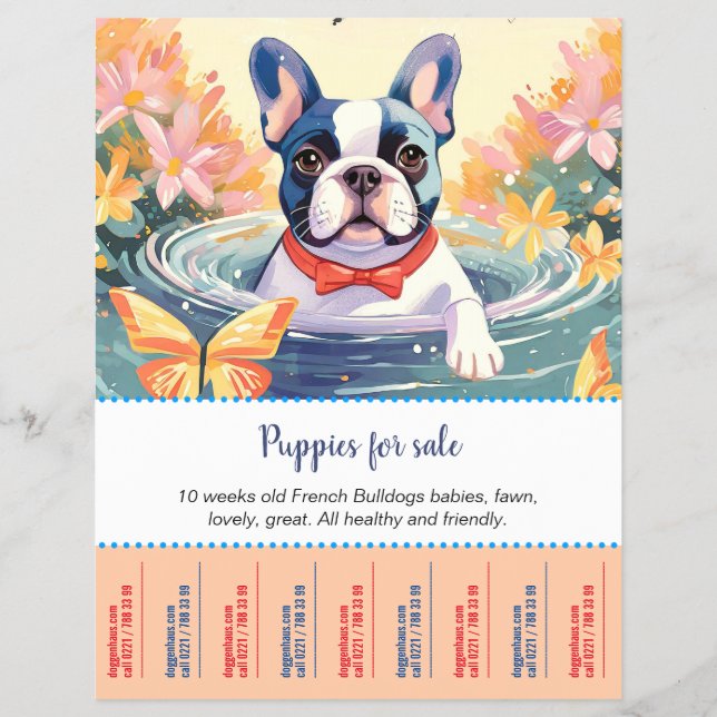 French Bulldog Puppies Flyer  (Front)
