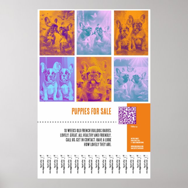 French Bulldog Puppies for Sale huge poster (Front)