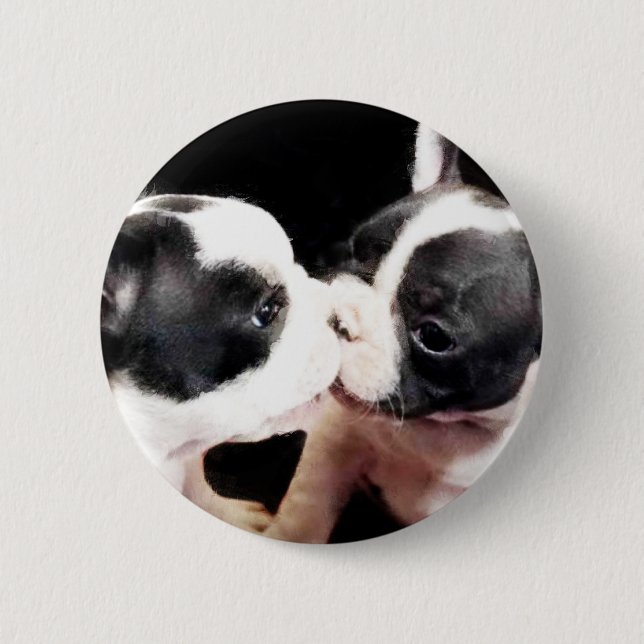 French bulldog puppies pinback button (Front)