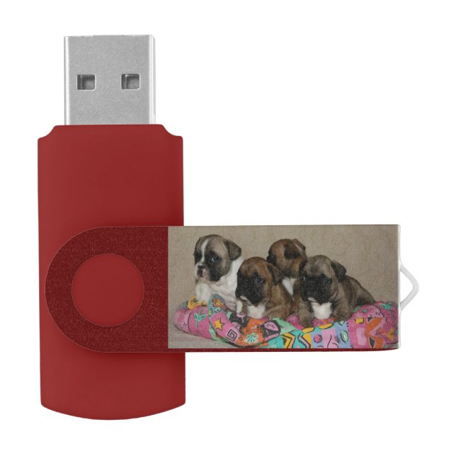 French Bulldog Puppies USB Drive (Opened)