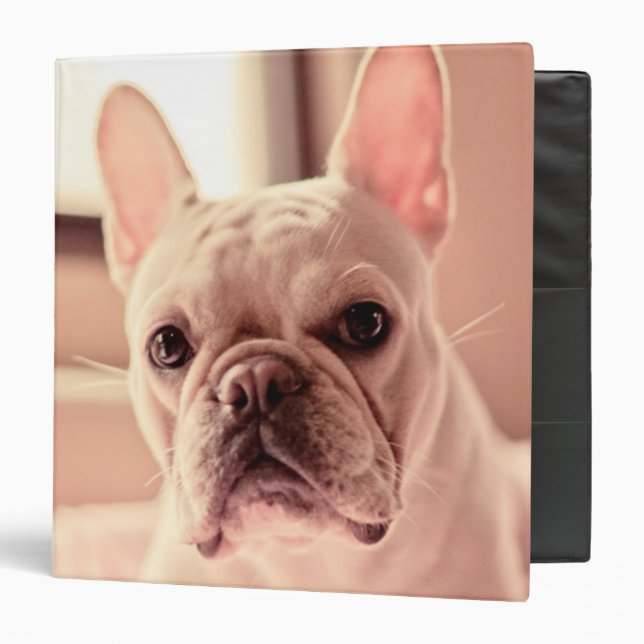 French Bulldog Puppy 3 Ring Binder (Front/Inside)