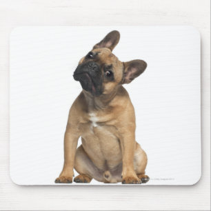 French Bulldog puppy (7 months old) Mouse Pad