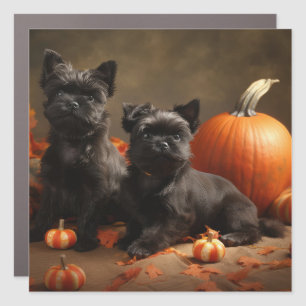 French Bulldog Puppy Autumn Delight Pumpkin Car Magnet