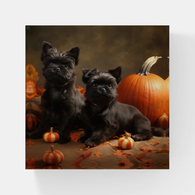 French Bulldog Puppy Autumn Delight Pumpkin Paperweight (Front)
