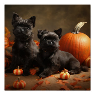 French Bulldog Puppy Autumn Delight Pumpkin Poster