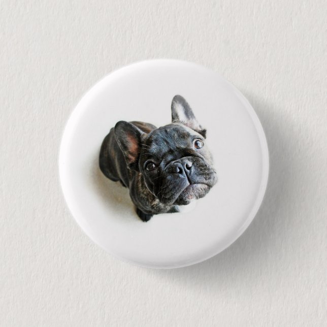 French Bulldog Puppy Button (Front)