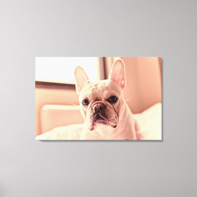 French Bulldog Puppy Canvas Print (Front)