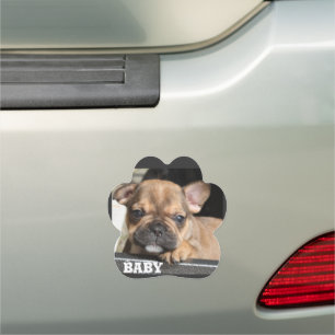 French Bulldog Puppy Car Magnet