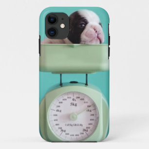 French Bulldog Puppy iPhone 11 Case