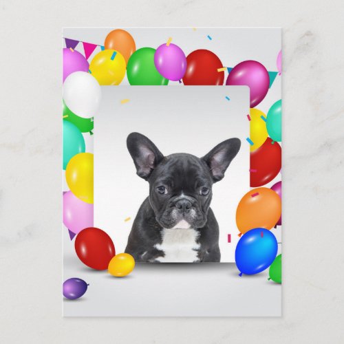 French Bulldog Puppy Colorful Balloons Birthday Postcard
