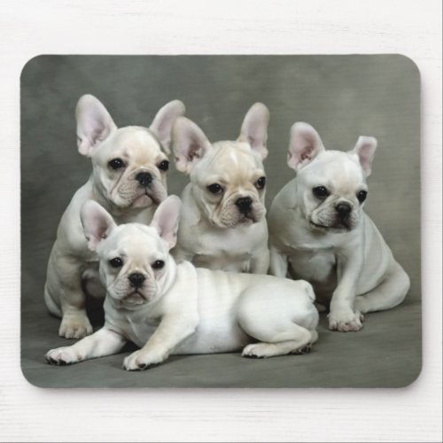 French Bulldog Puppy Cream White Dog Mousepad