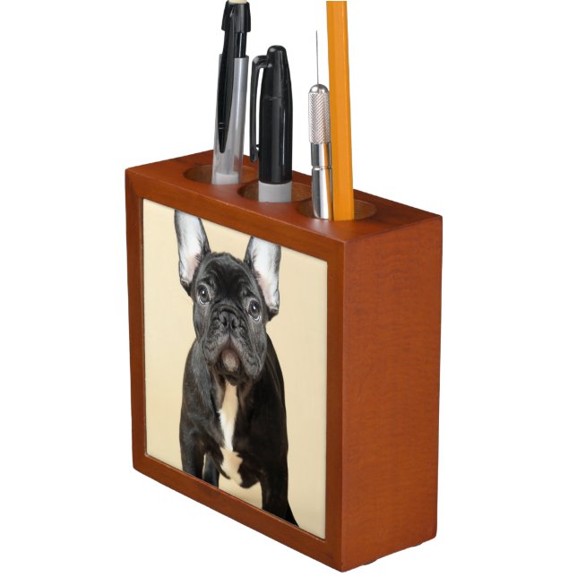 French Bulldog Puppy Desk Organizer (In Situ)