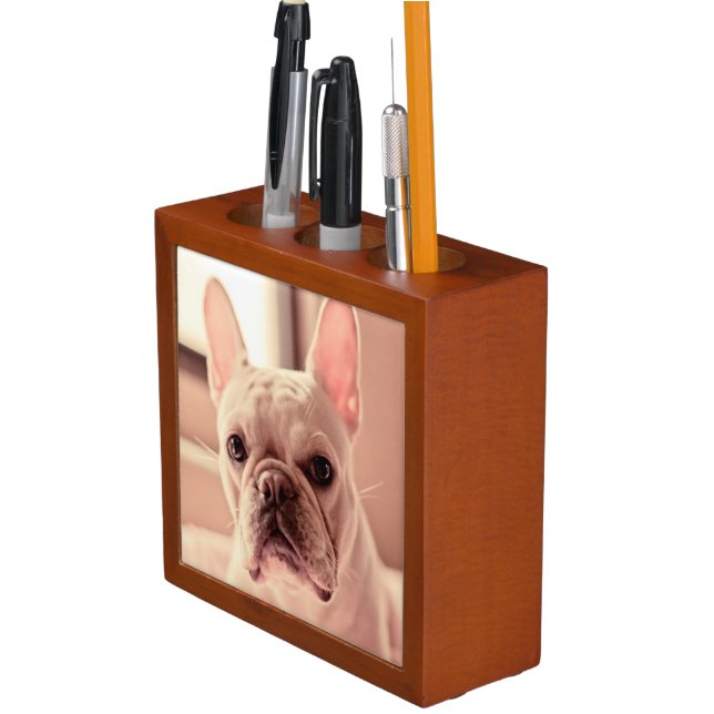 French Bulldog Puppy Desk Organizer (In Situ)