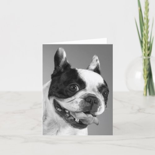 French Bulldog Puppy Dog Blank Note Card