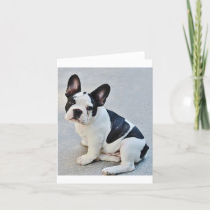 French Bulldog Puppy Dog Blank Note Card