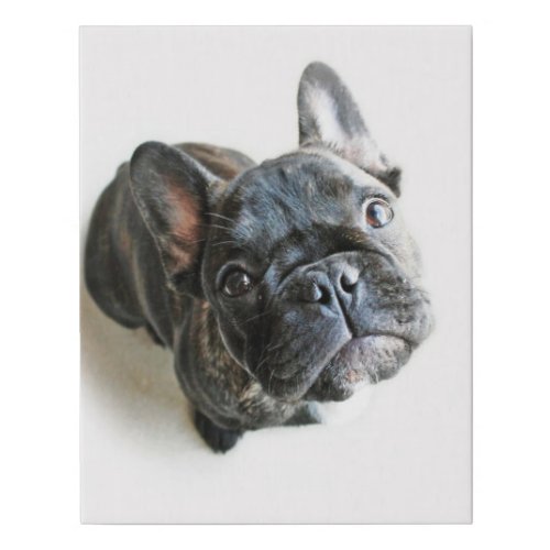 French Bulldog Puppy Faux Canvas Print