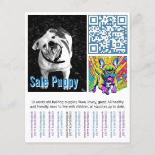French Bulldog Puppy Flyer