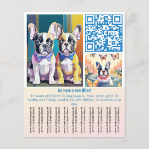French Bulldog Puppy  Flyer
