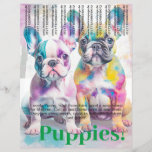 French Bulldog Puppy Flyer