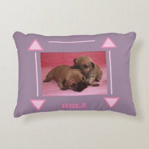 French Bulldog Puppy French Bulldog Accent Pillow