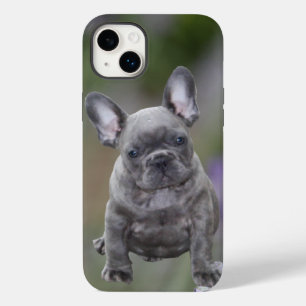 French Bulldog Puppy French Bulldog Case-Mate iPhone 14 Plus Case