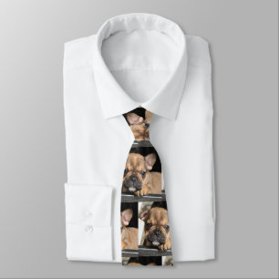 French Bulldog Puppy French Bulldog Neck Tie