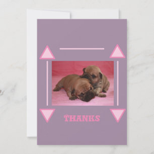 French Bulldog Puppy French Bulldog Thank You Card