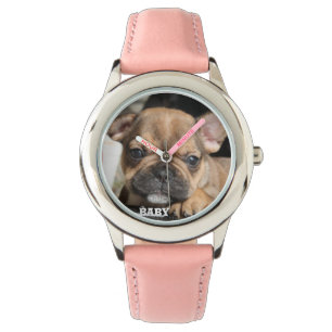 French Bulldog Puppy French Bulldog Watch