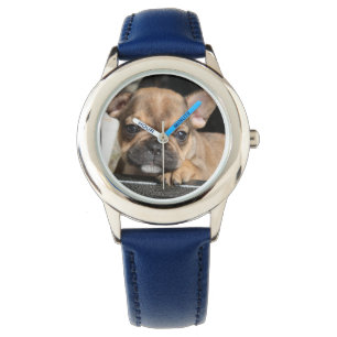 French Bulldog Puppy French Bulldog Watch