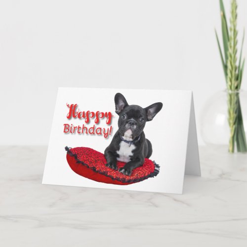 French Bulldog Puppy Happy Birthday Greeting Card
