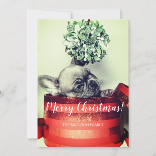 French Bulldog Puppy In Gift Box With Mistletoe Holiday Card