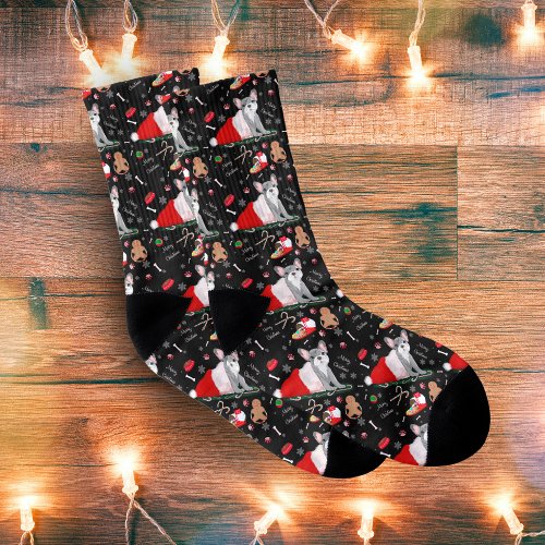 French Bulldog Puppy In Santas Hat Pattern  Socks